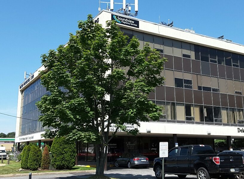 Soundview Pregnancy Services