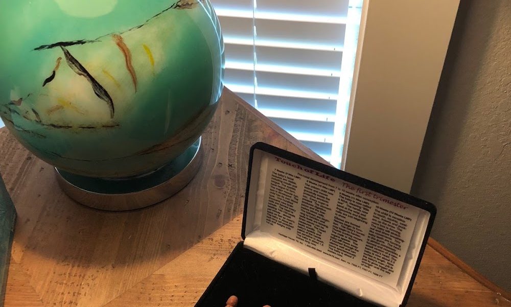 New Beginnings Pregnancy Resource Center/The Pregnancy Test Center