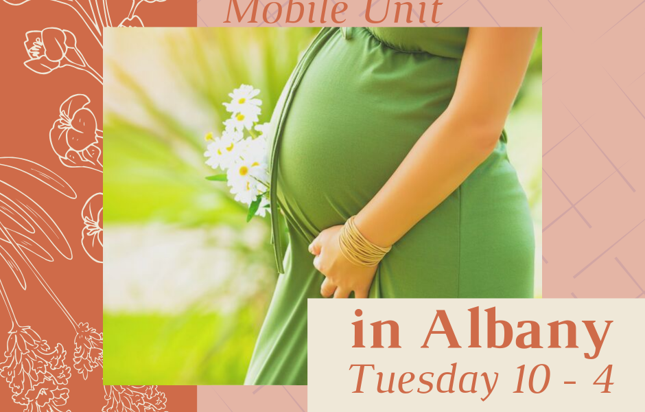 Open Door Pregnancy Assis Center