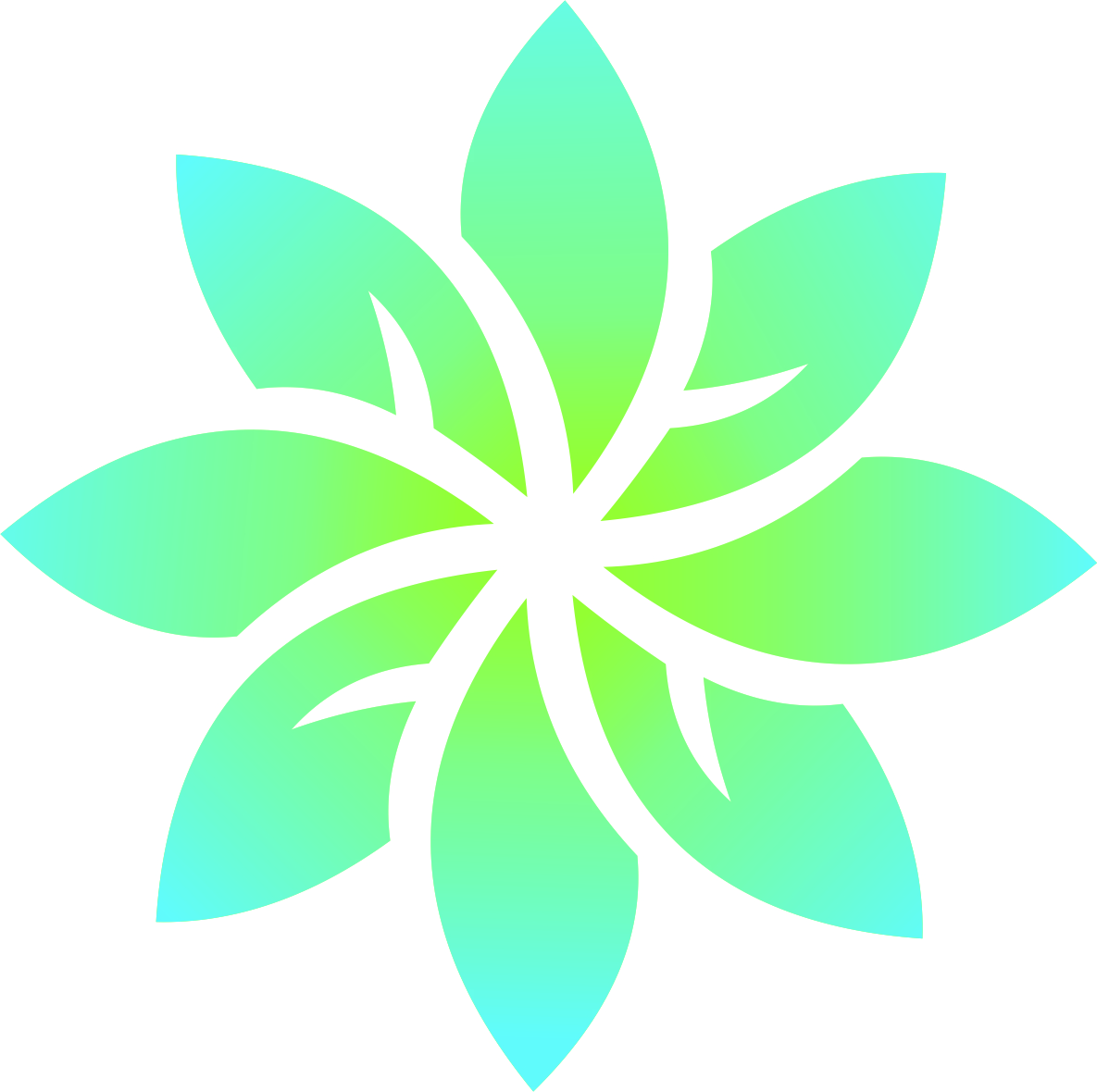 First Choice Solutions