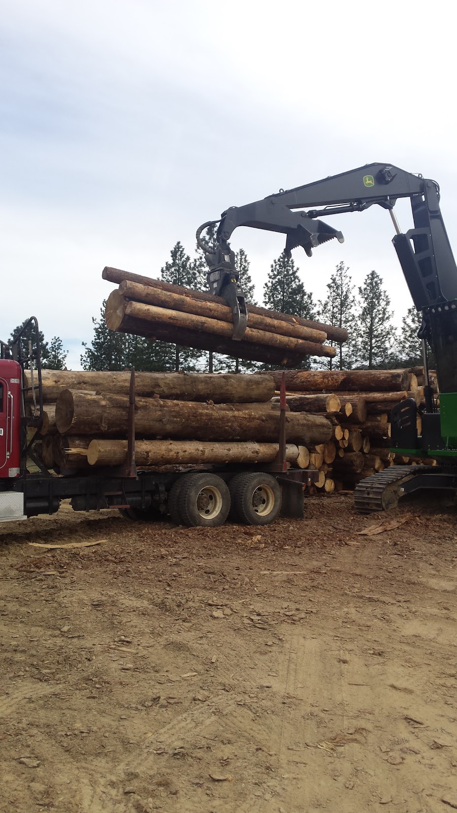 Oakhurst Helping Hands Pregnancy & Parenting Center