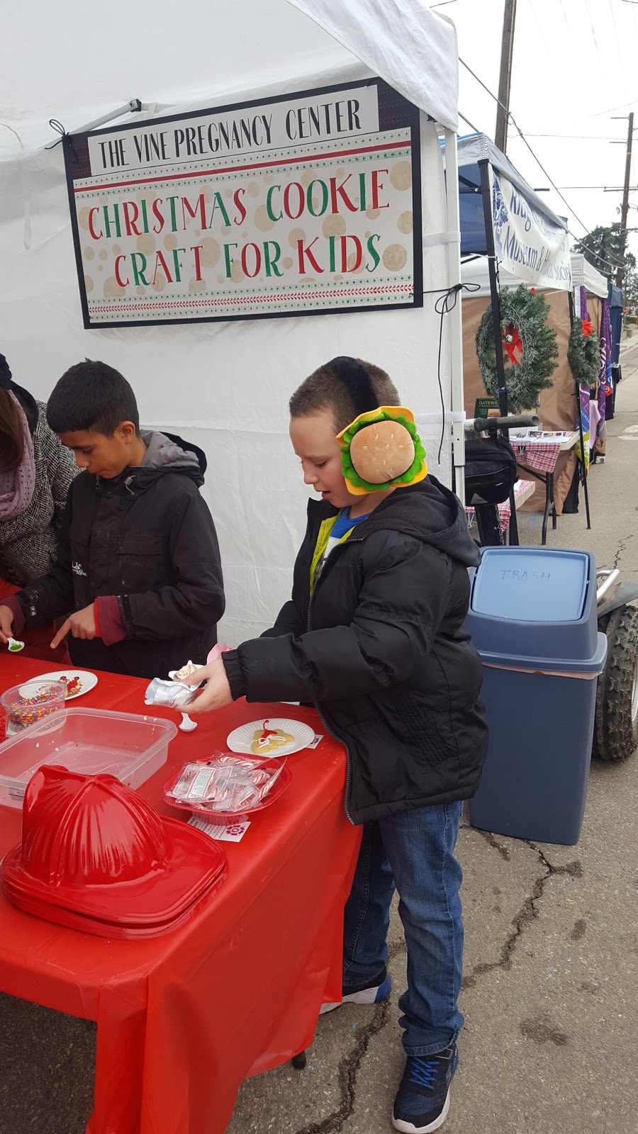 The Vine Pregnancy Center